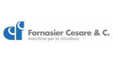 Fornasier